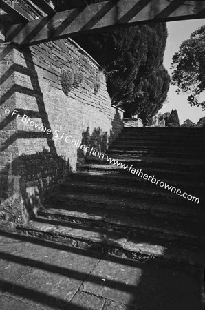 HEYWOOD HOUSE  THE STEPS  SUNSHINE AND SHADOWS